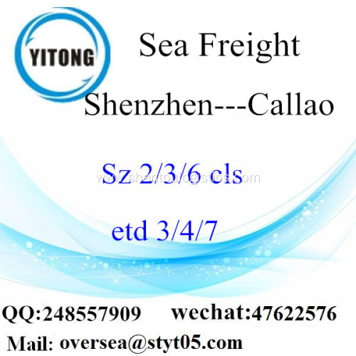 Shenzhen Port Sea Freight Shipping To Callao
